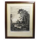 Large Edwardian Landscape Engraving Set in Mahogany Frame