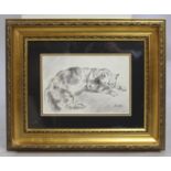 Ink Drawing of Cat Framed