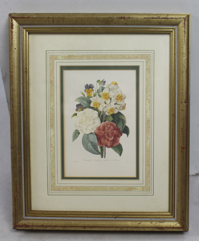 Pierre Joseph Redoute Limited Edition Flower Print Framed