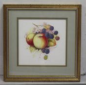 Worcester Fruit Watercolour by J.Reed