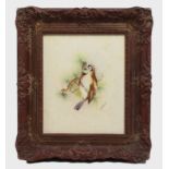 Framed Songbird Watercolour by Royal Worcester Artist Peplow
