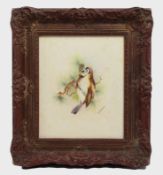 Framed Songbird Watercolour by Royal Worcester Artist Peplow