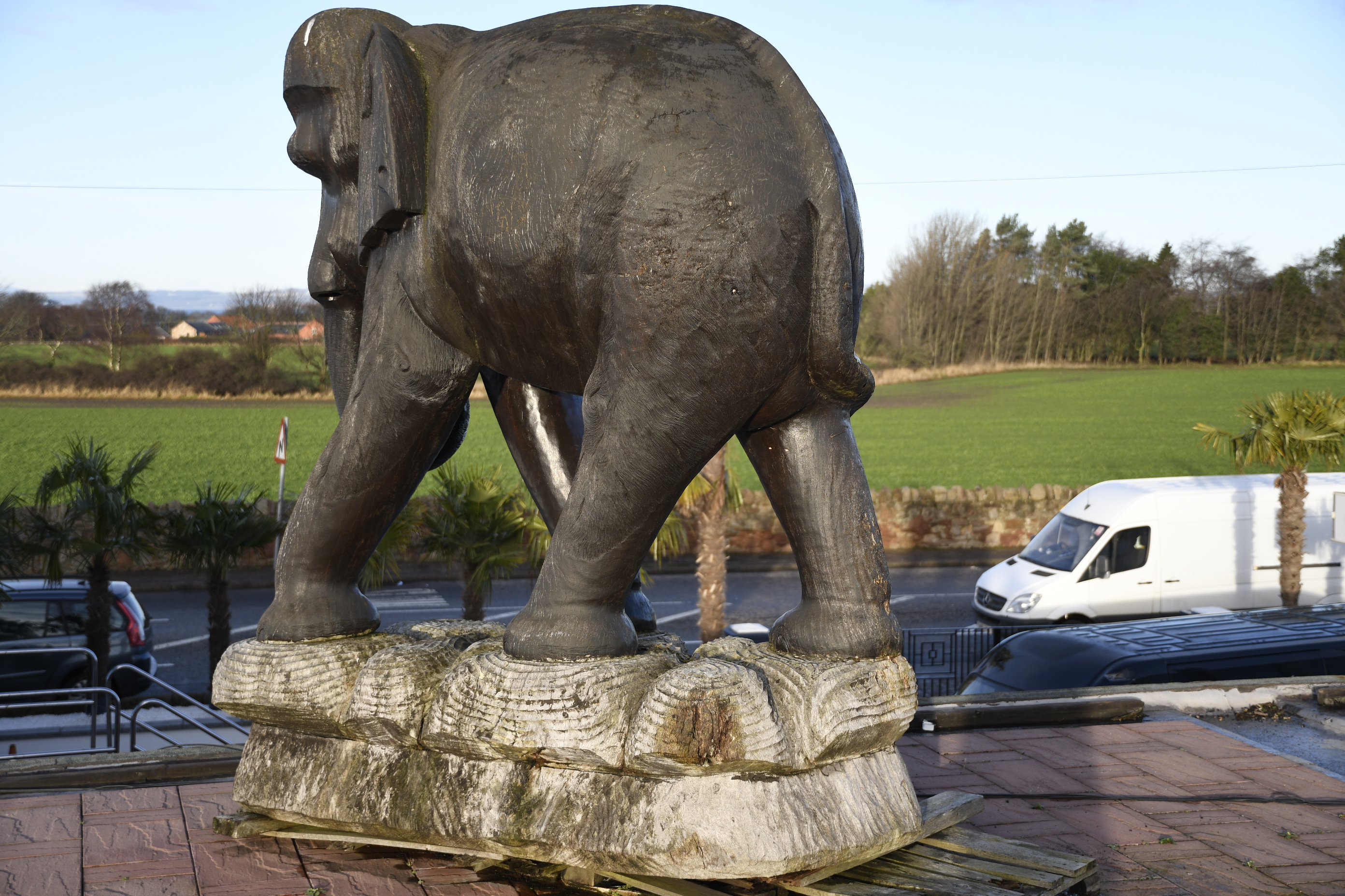 Amazing Life Size Hand Carved Wooden Elephant - Image 2 of 5