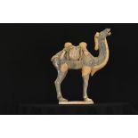 Terracotta Camel