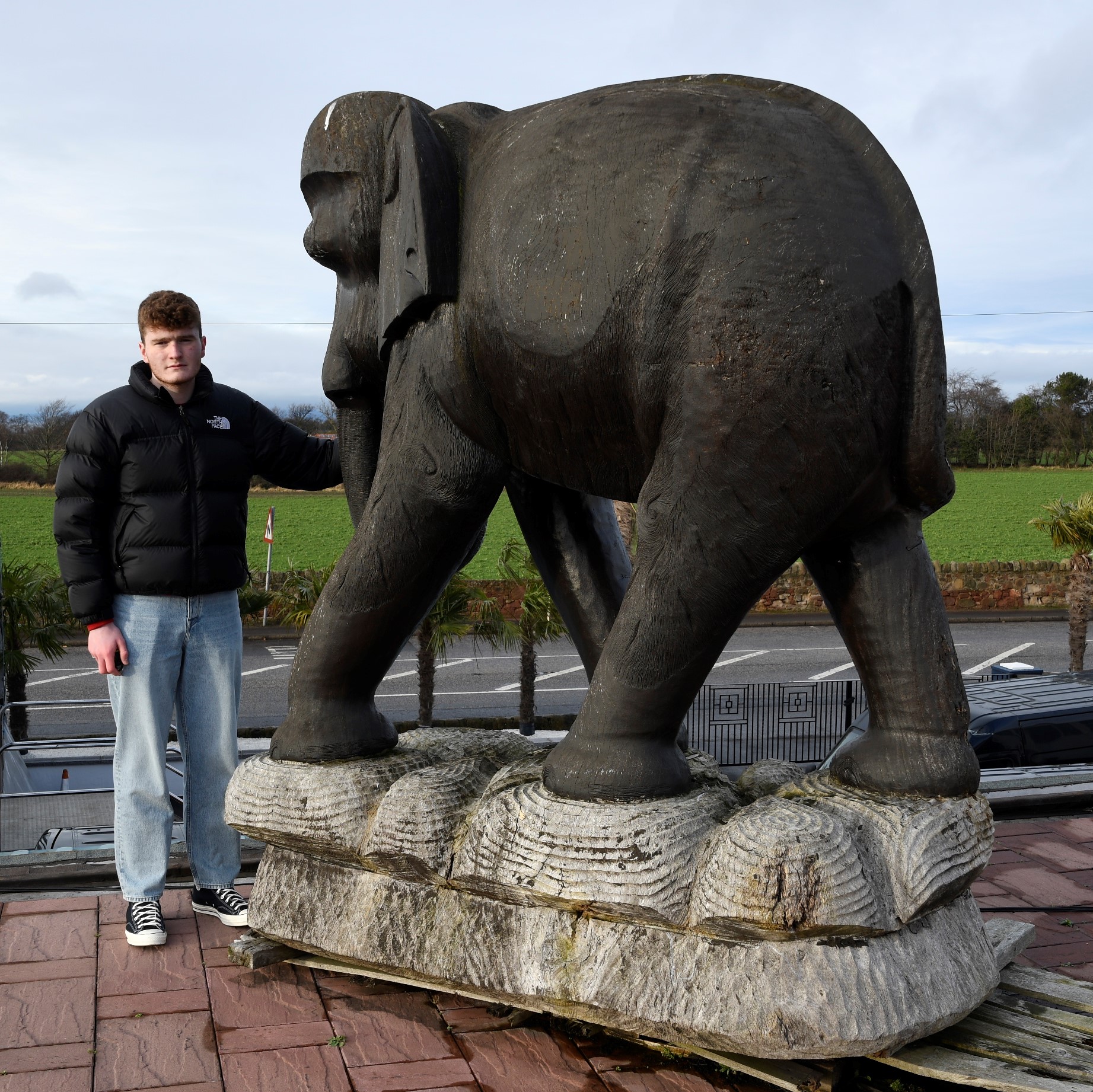 Amazing Life Size Hand Carved Wooden Elephant - Image 4 of 5