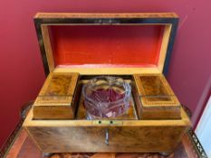 Tea Caddy, with a glass mixing bowl, Yew wood.