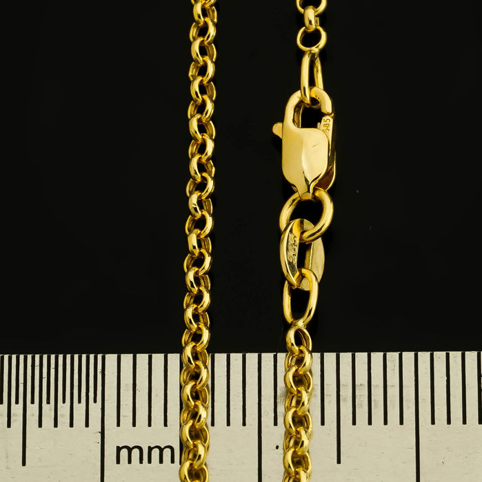 50 cm (19.7 in) Rolo Chain Necklace. In 14K Yellow Gold - Image 6 of 7