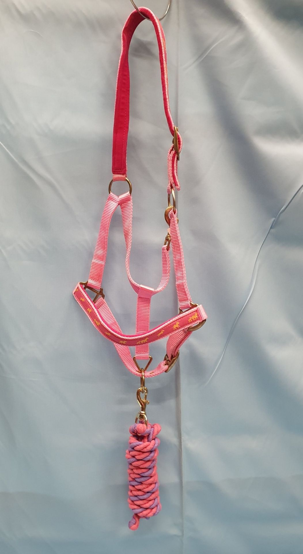 Headcollar & Lead Rope