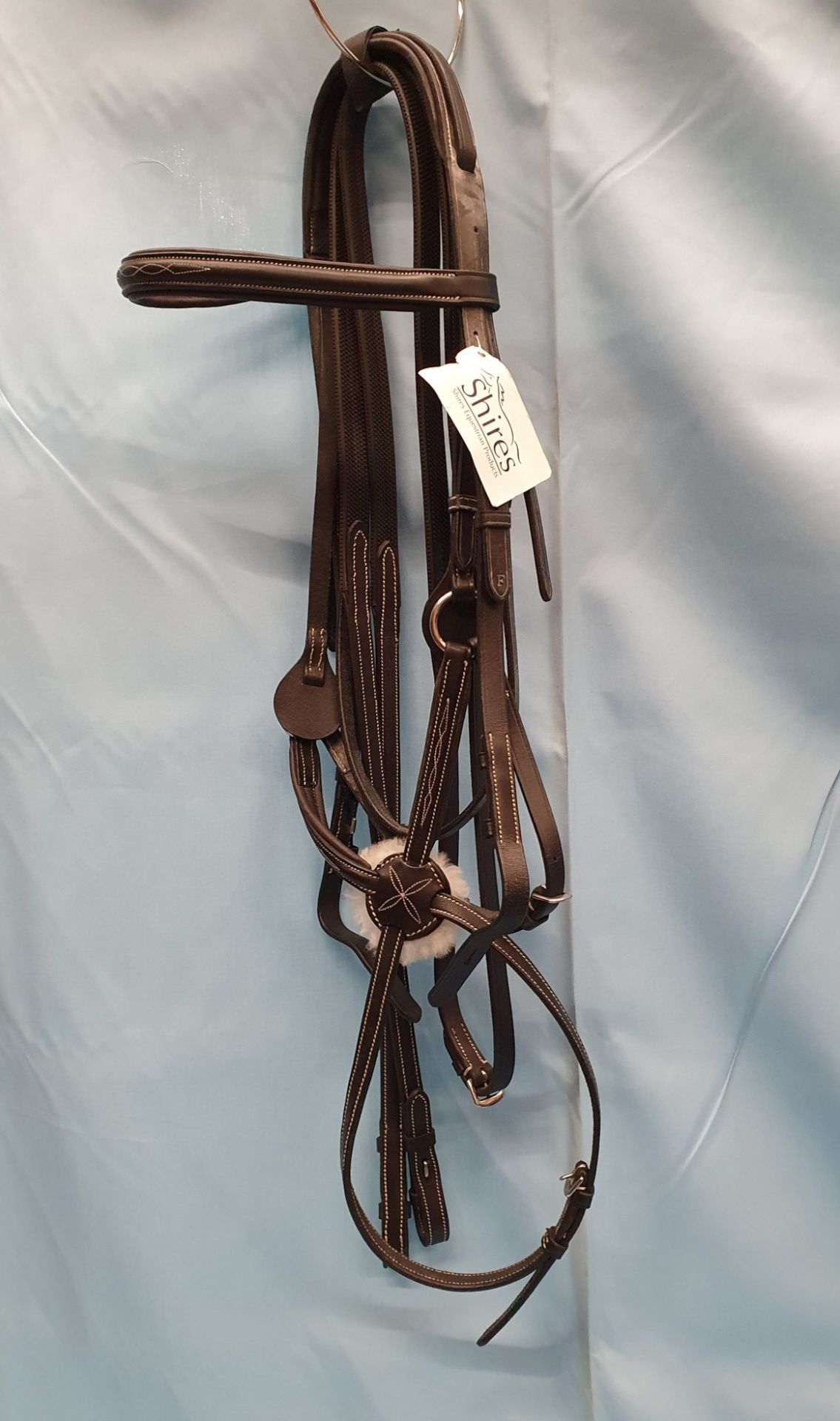 Salisbury Blackley Bridle