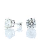 18ct White Gold Prong Set Diamond Earring 11.00 Carats