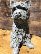 Very Detailed Sitting Westie Dog