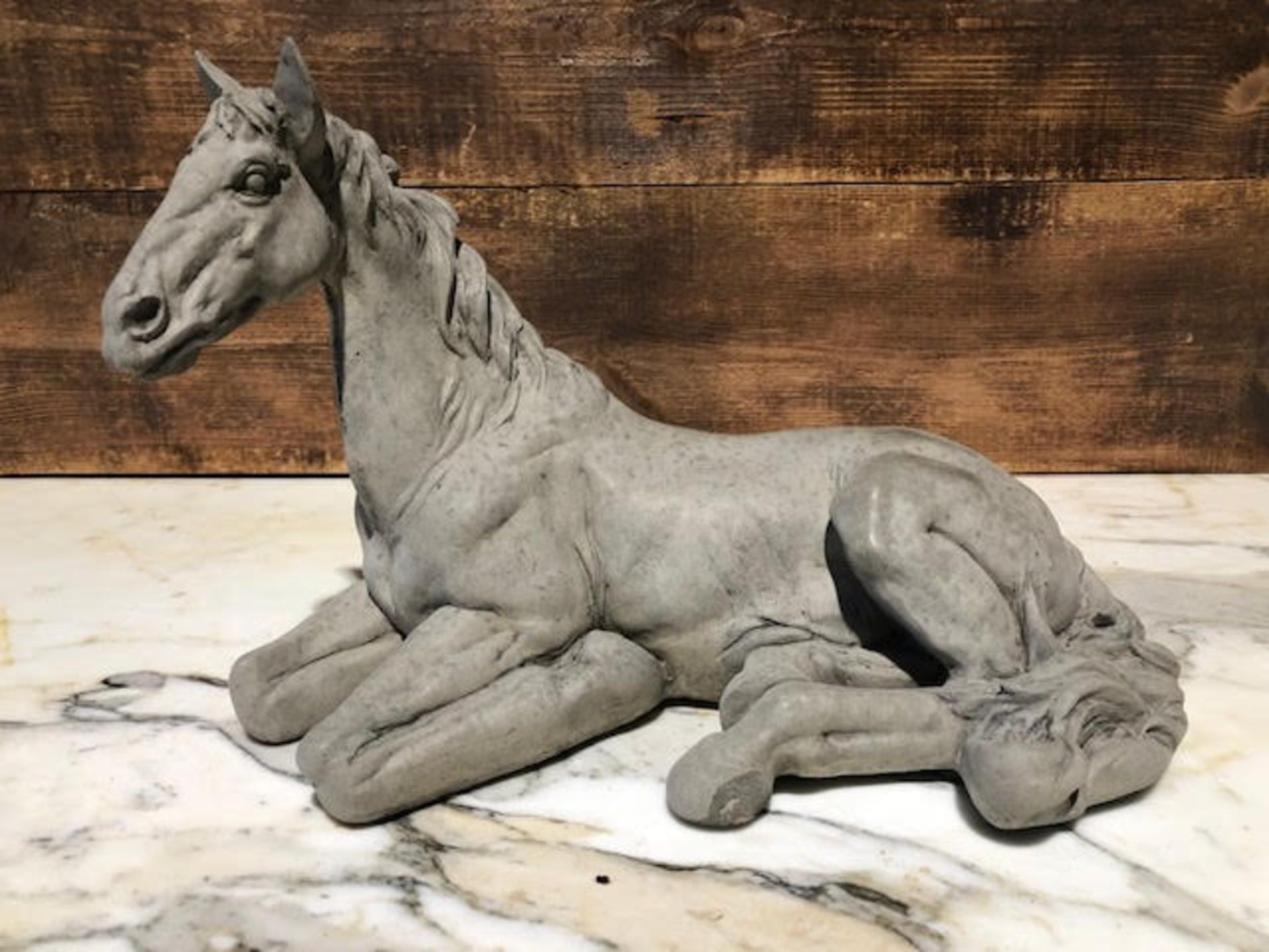 Very detailed Laying down horse