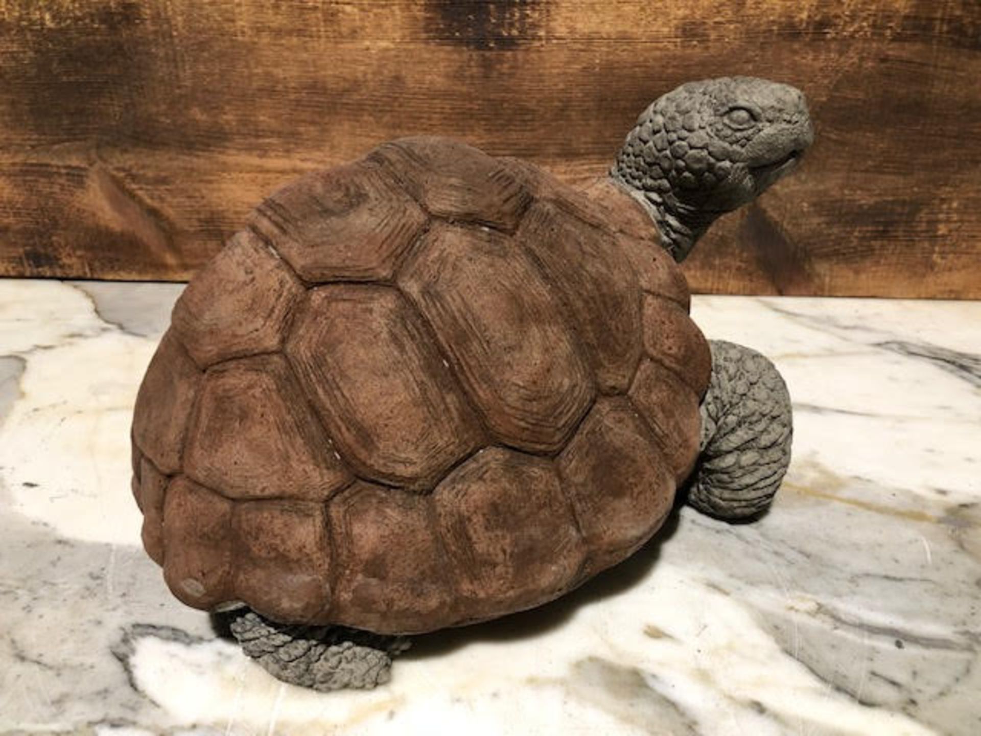 Large tortoise brown wash shell - Image 3 of 3