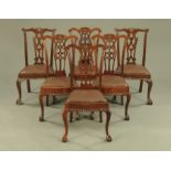 Set of 6 Mahogany Ball & Claw Leather Seated Dining Chairs
