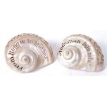 Two Colonial folk art pearl shells one 'From Reggie to Mother' the other 'Andaman Islands'