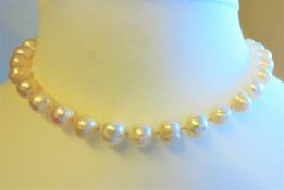 Cultured Pearl Necklace