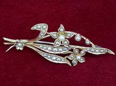 15ct (585) Yellow Gold Seed Pearl Flower Brooch