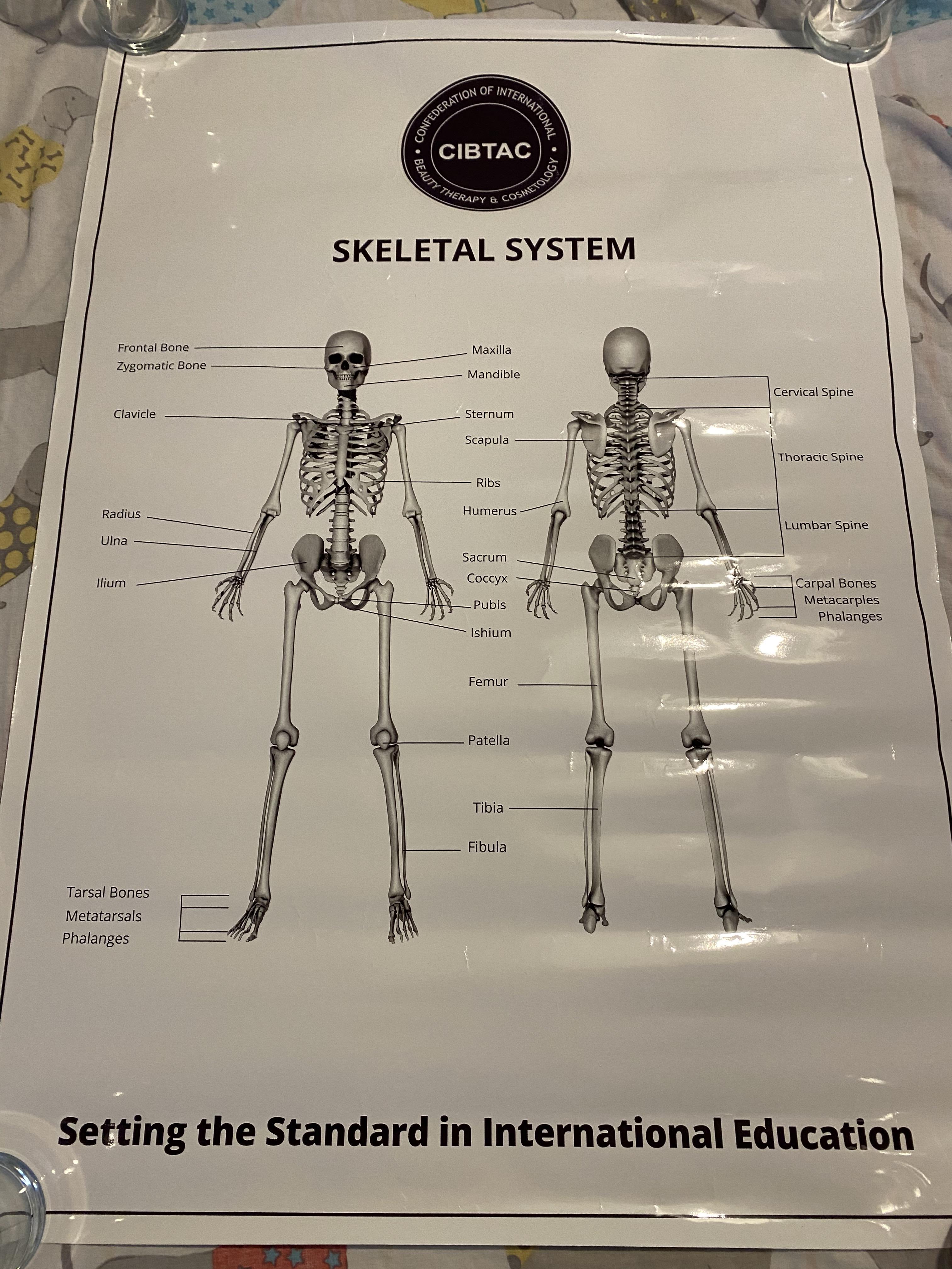 CIBTAC Medical Posters - Image 3 of 5