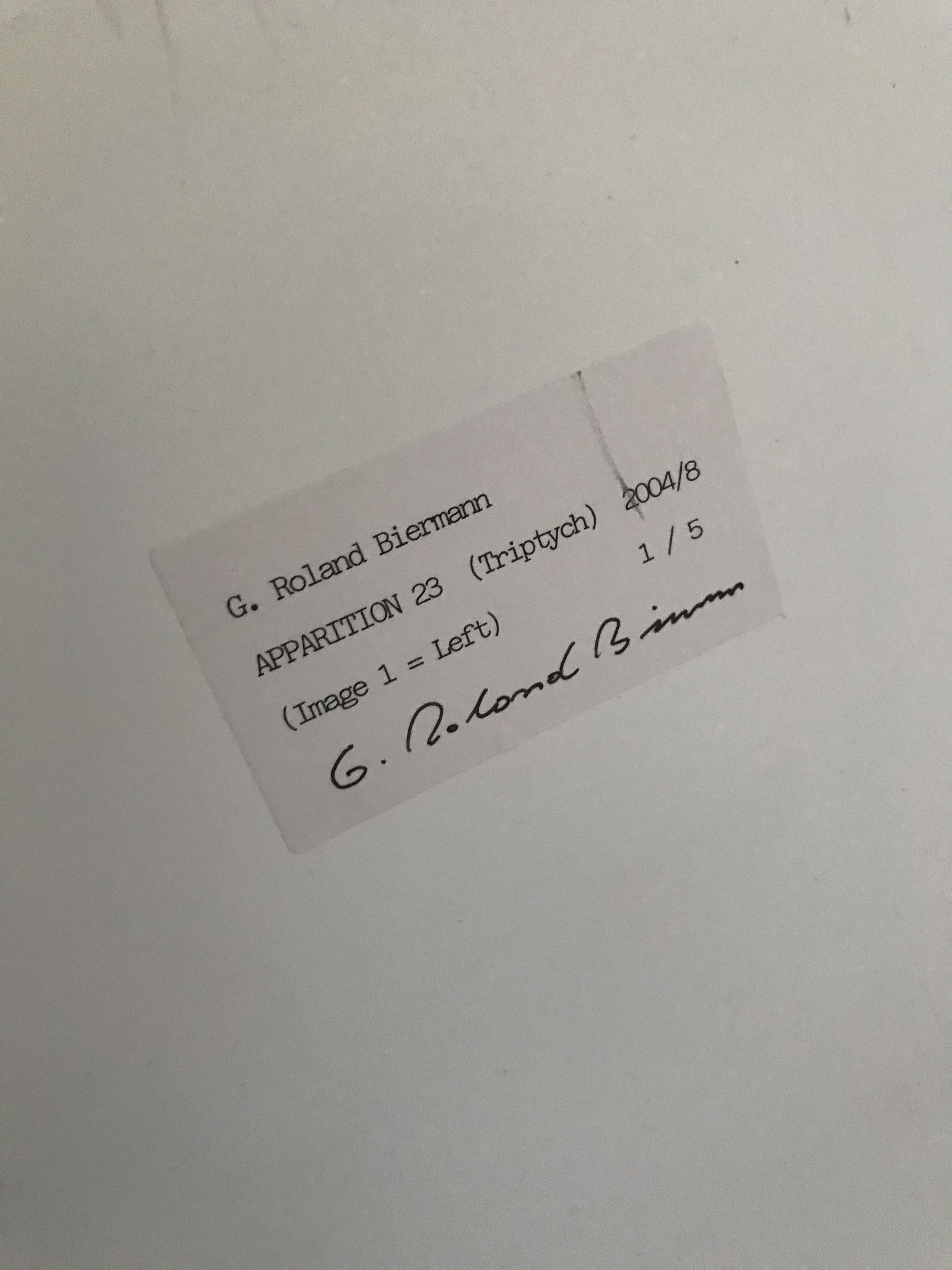 G Roland Biermann Apparition 23 - Image 5 of 16