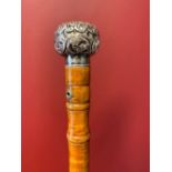 Walking Stick, Silver, William Henry Sparrow, Birmingham 1900