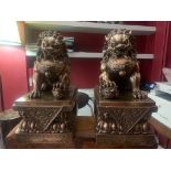 Pair of bronze Foo dogs statues, Chinese 19th-century