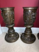 Pair of bronze garden urnes