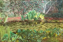 Lilly pond Poolewe Original signed oil by Ray Greenfield