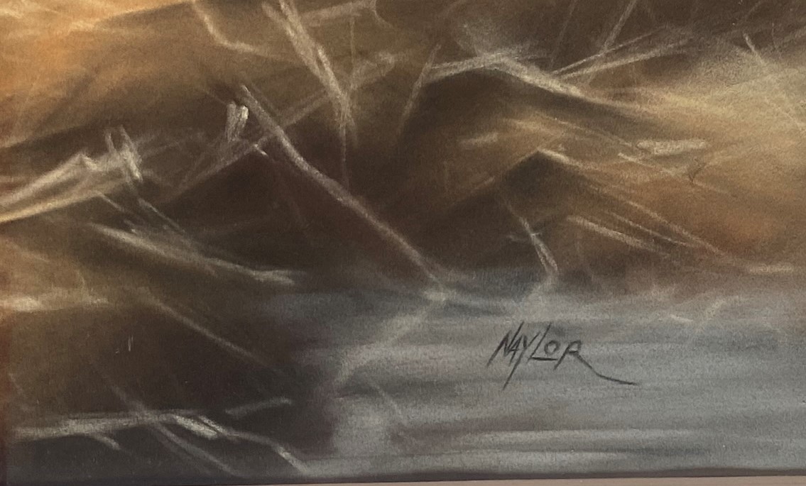 Original signed Pastel by John Naylor depicting mallard Ducks - Image 3 of 5