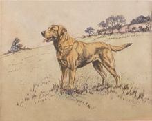 Henry Wilkinson (1921-2011) signed limited edition coloured etching Yellow Labrador