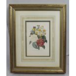 Pierre Joseph Redoute Limited Edition Flower Print Framed