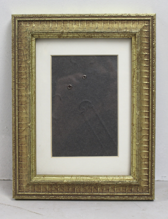 Gilt Picture Frame with Mount