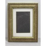 Gilt Picture Frame with Mount