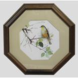 Bird Print Set in Octagonal Frame