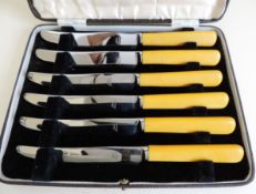 Cased Set Tea Knives