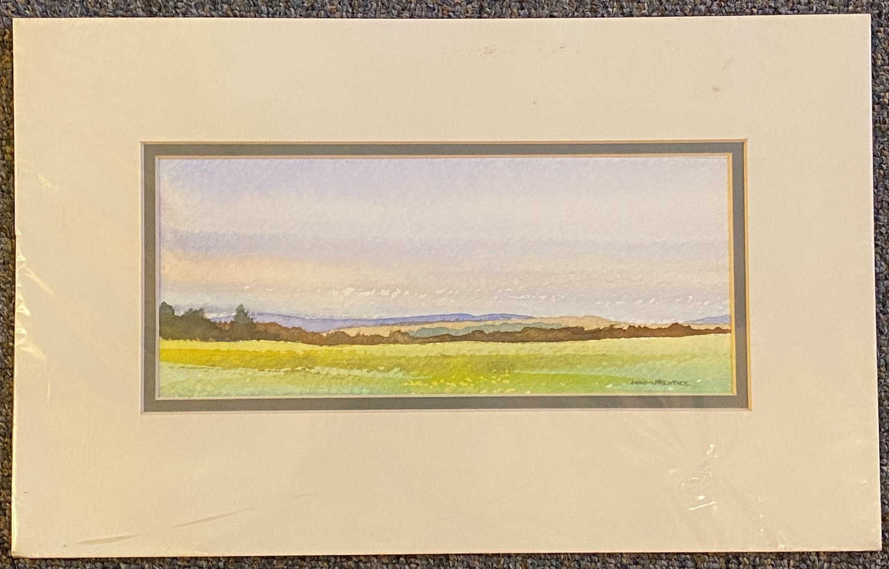 Martin W Prentice watercolour on paper “Near Carrbridge” - Image 3 of 4