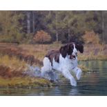 "Splash "spaniel dog print by Scottish artist Peter Munro