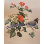 James Fenwick Lansdowne (Canadian) Large print of an exotic bird.