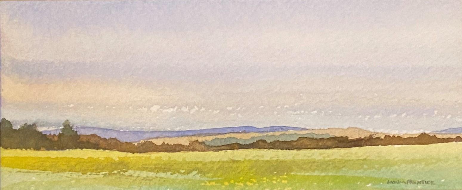 Martin W Prentice watercolour on paper “Near Carrbridge”