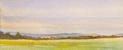 Martin W Prentice watercolour on paper “Near Carrbridge”