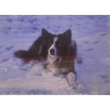 Steven Townsend signed limited edition print “Mac” Dog in snow