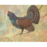 Original signed watercolour by Ralston Gudgeon, RSW (1910 – 1984) Capercaillie