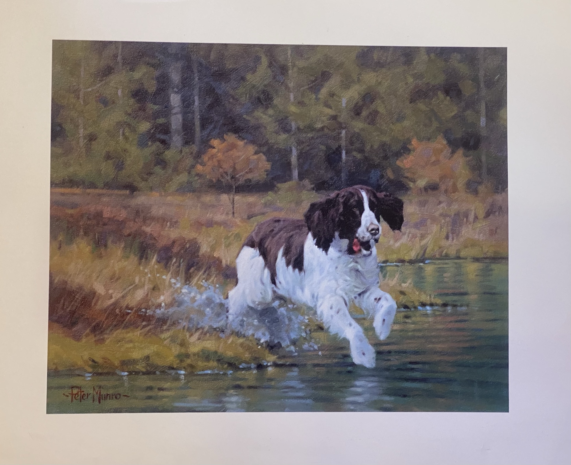 "Splash "spaniel dog print by Scottish artist Peter Munro - Image 2 of 2