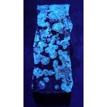 Collectable Fluorescent Mineral Wavelite