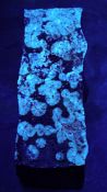 Collectable Fluorescent Mineral Wavelite