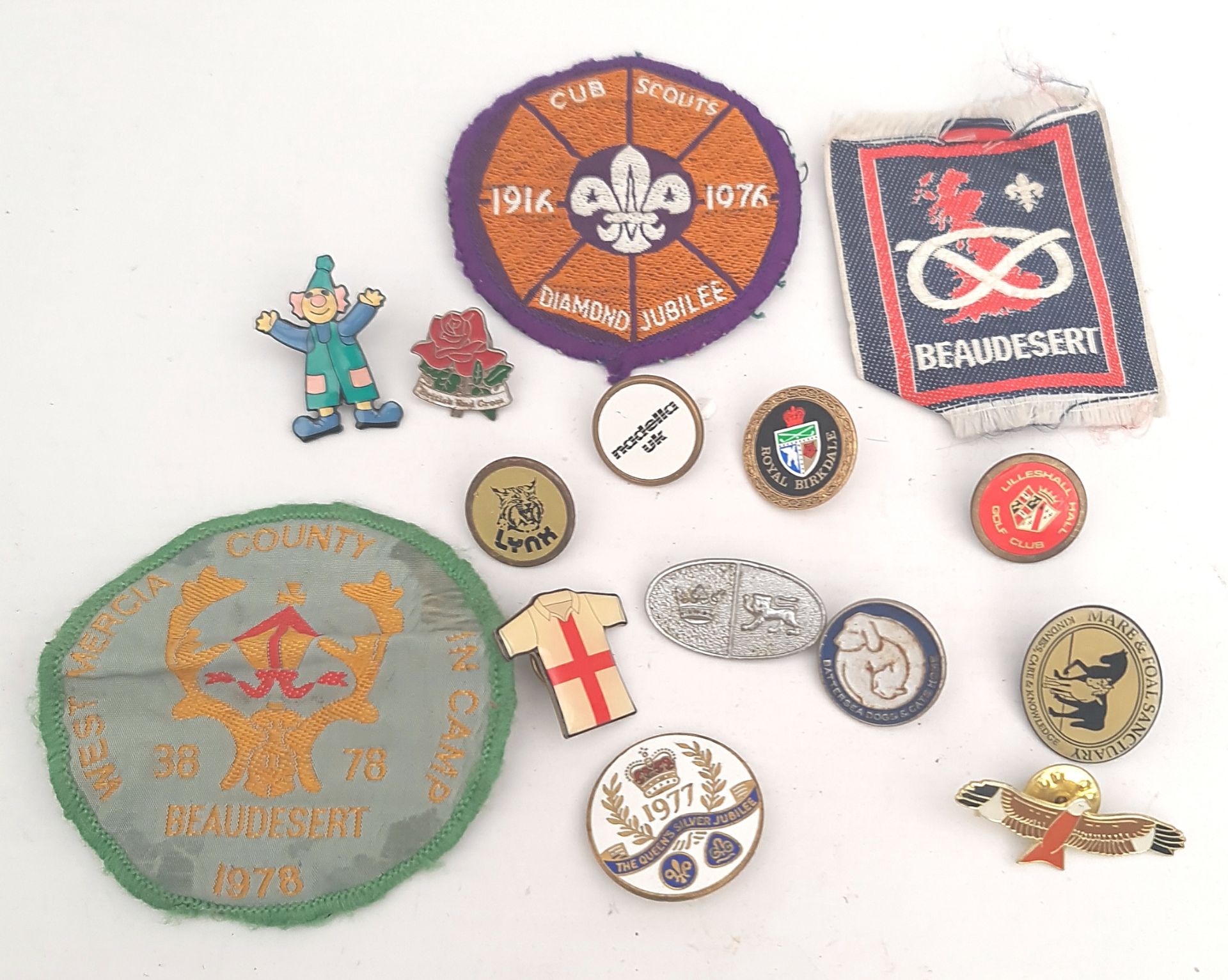 Vintage 15 x Assorted Badges