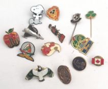 Vintage 15 x Assorted Badges