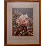 Vintage Framed Painting Watercolour Flowers Titled Pink Pearl Signed L Gilbert