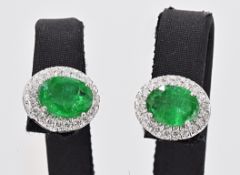 Earrings - 3.01 ct Emerald - Diamond - NO RESERVE price