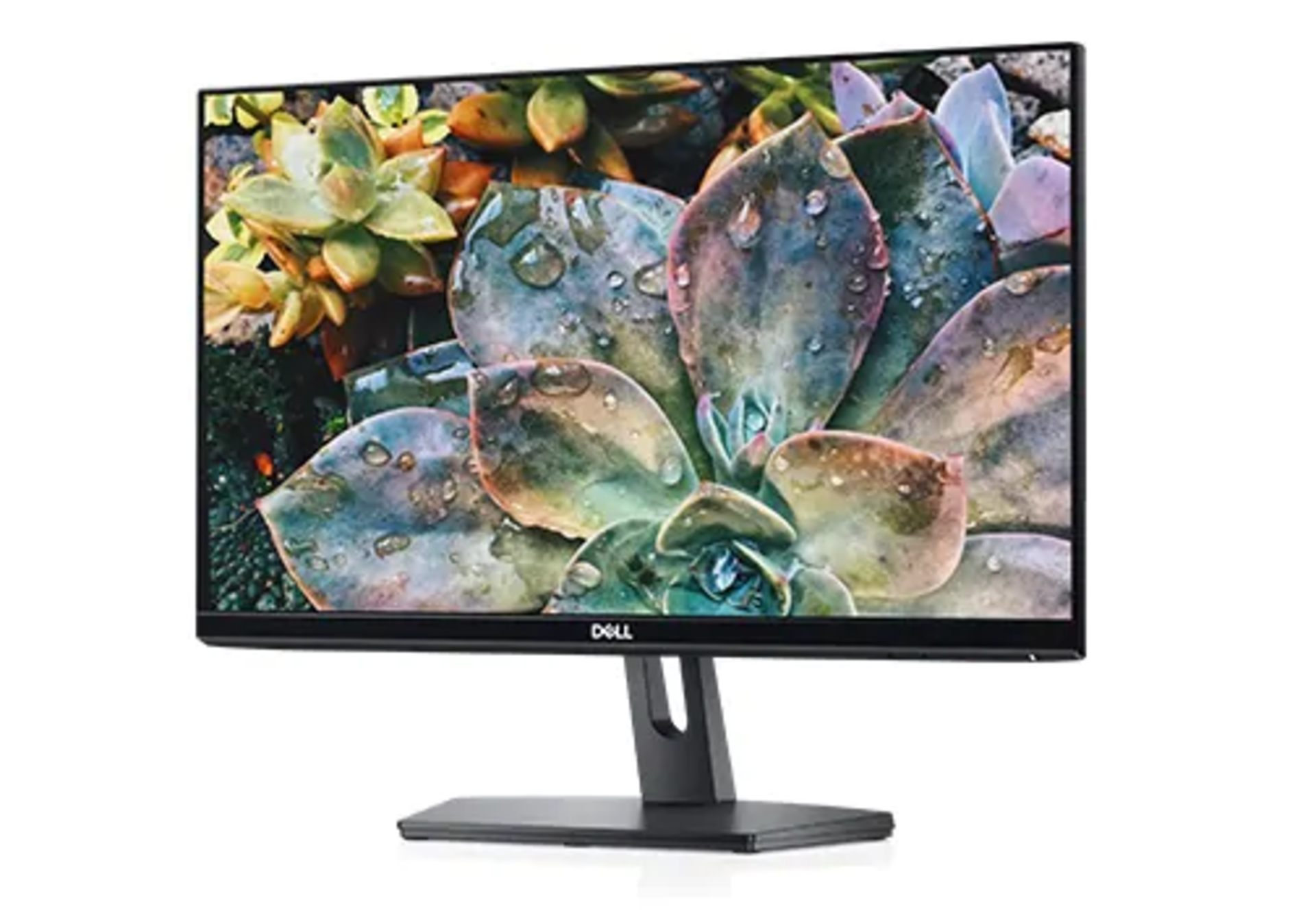 Dell SE2219H 21.5 Inch Full HD (1920 x 1080) Monitor