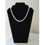 Single Row String Of White Cultured Pearls